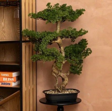 Изкуствено растение atmosphera Polin Bonsai, 86 cm