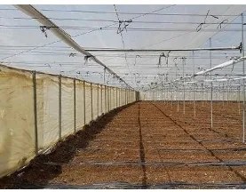 Мрежа против насекоми CYLNET прозрачна 2.5 х 100м