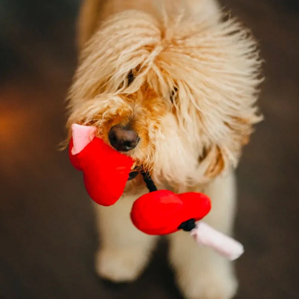 Играчка за куче Heart - P.L.A.Y.