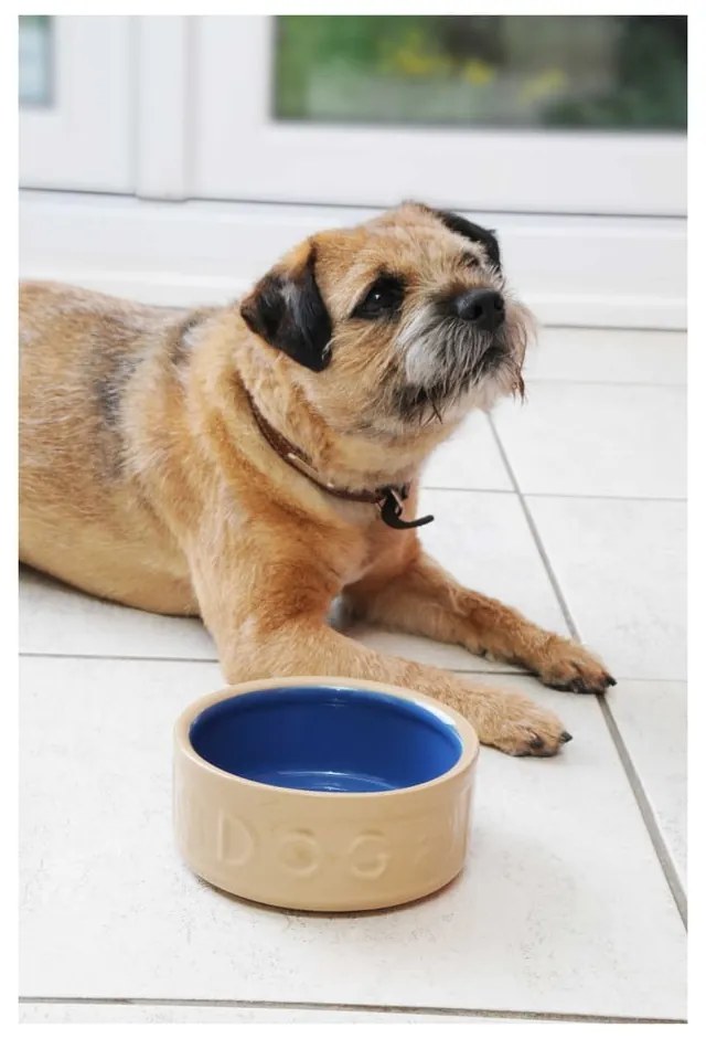 Каменна купа за куче , ø 18 cm Cane Blue Dog - Mason Cash