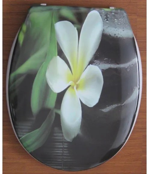 Тоалетна седалка ICST 787