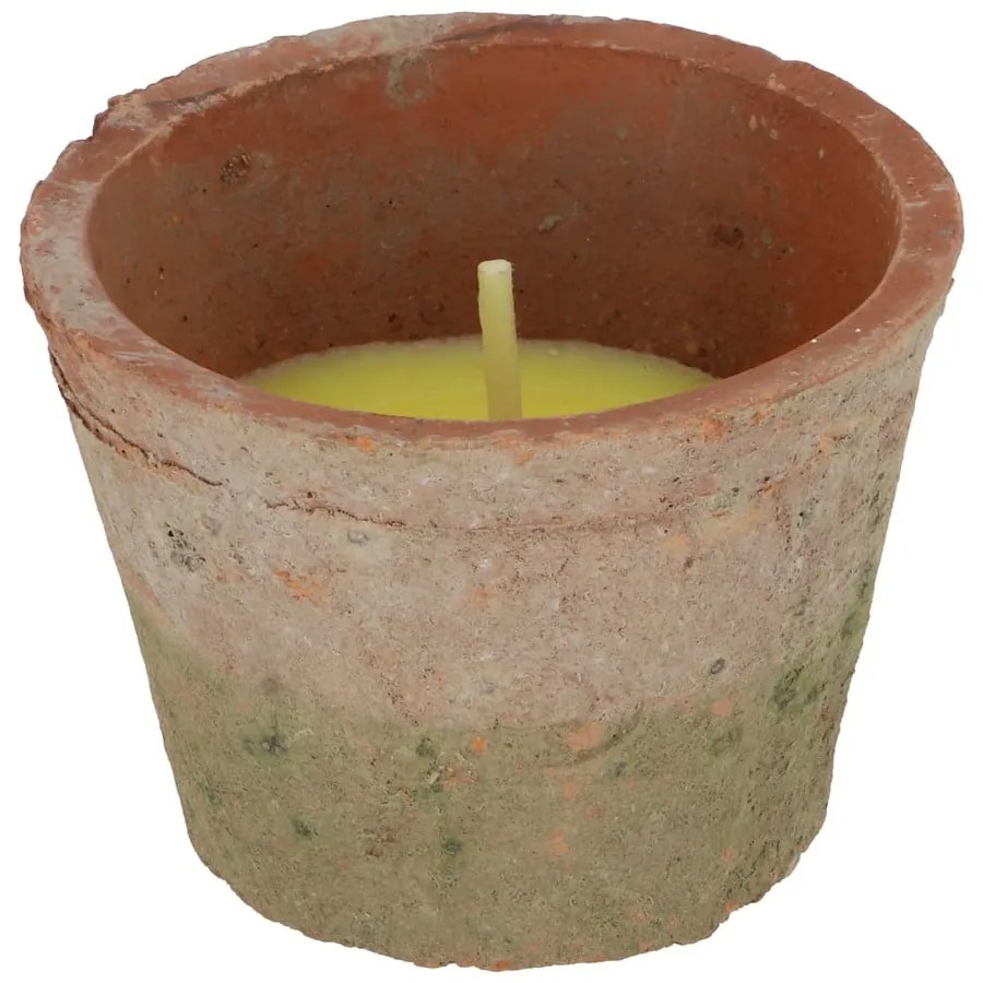 Ароматна свещ с време на горене 10 h Citronelle – Esschert Design