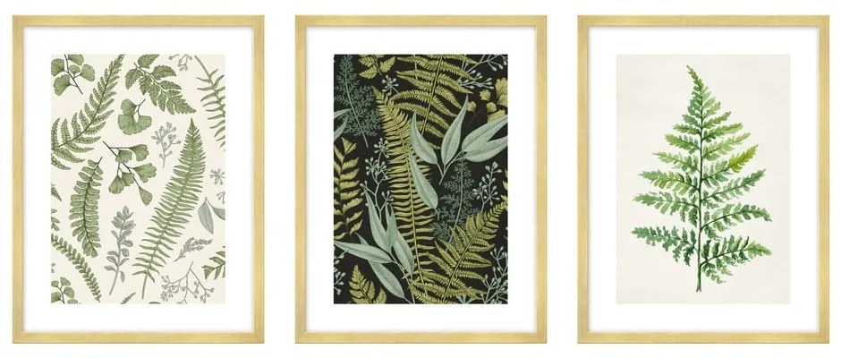 Картини в комплект 3 бр. 30x40 cm Fern – knor