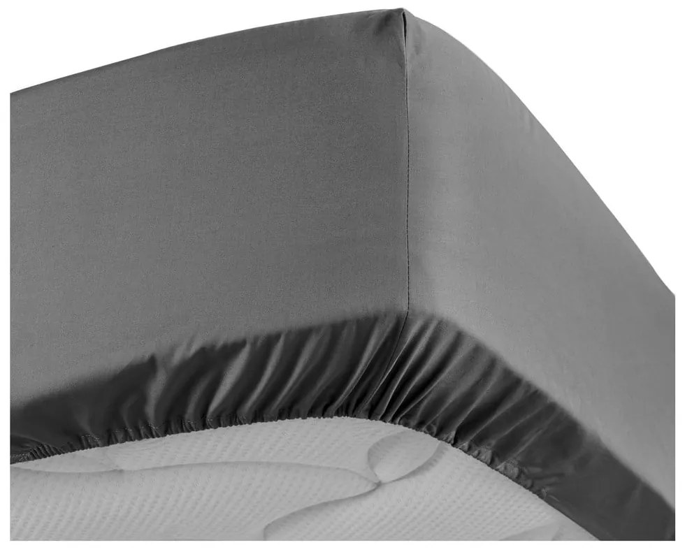 Антрацитен еластичен чаршаф от памук перкал 160x200 cm Percaline – douceur d'intérieur