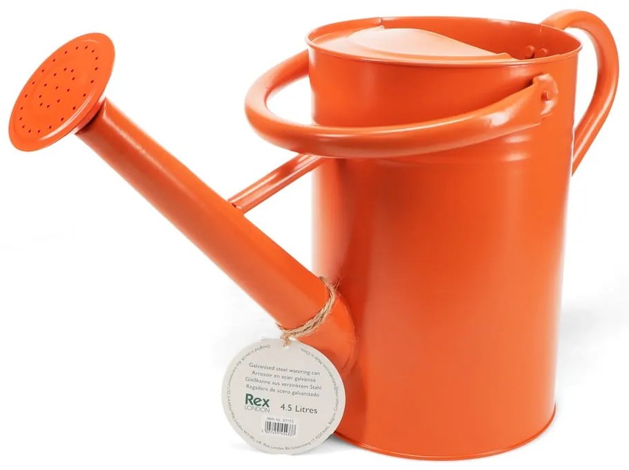 Метална лейка за поливане 4,5 l – Rex London