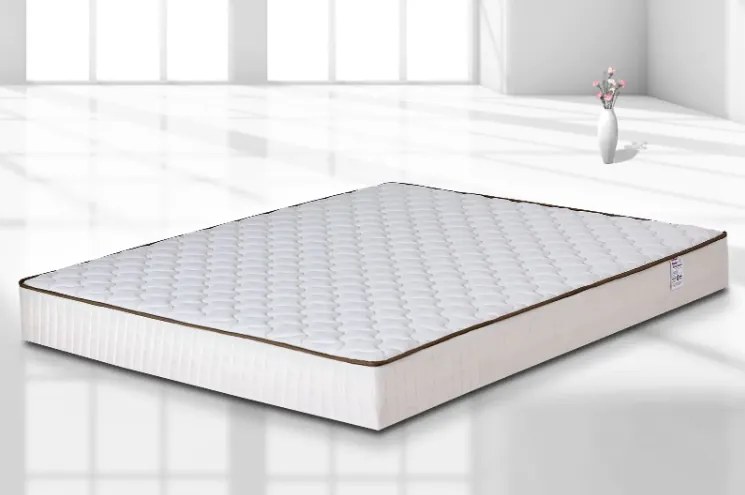 Perla еднолицев