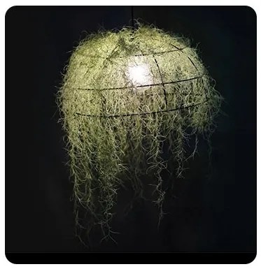 Полилей Olter-Диаметър 40 См