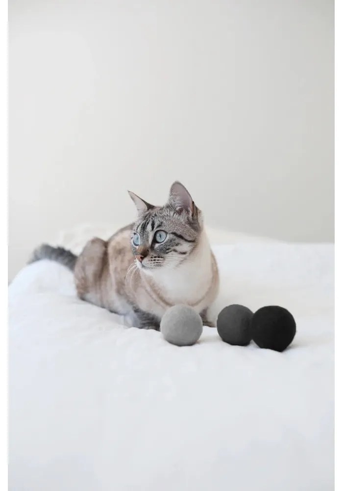 Котешки играчки в комплект 3 бр. Globo Nougat – MiaCara