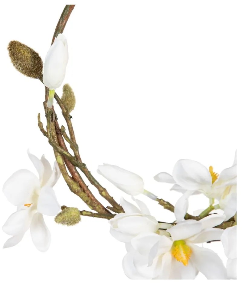 Венец Magnolia – Ixia