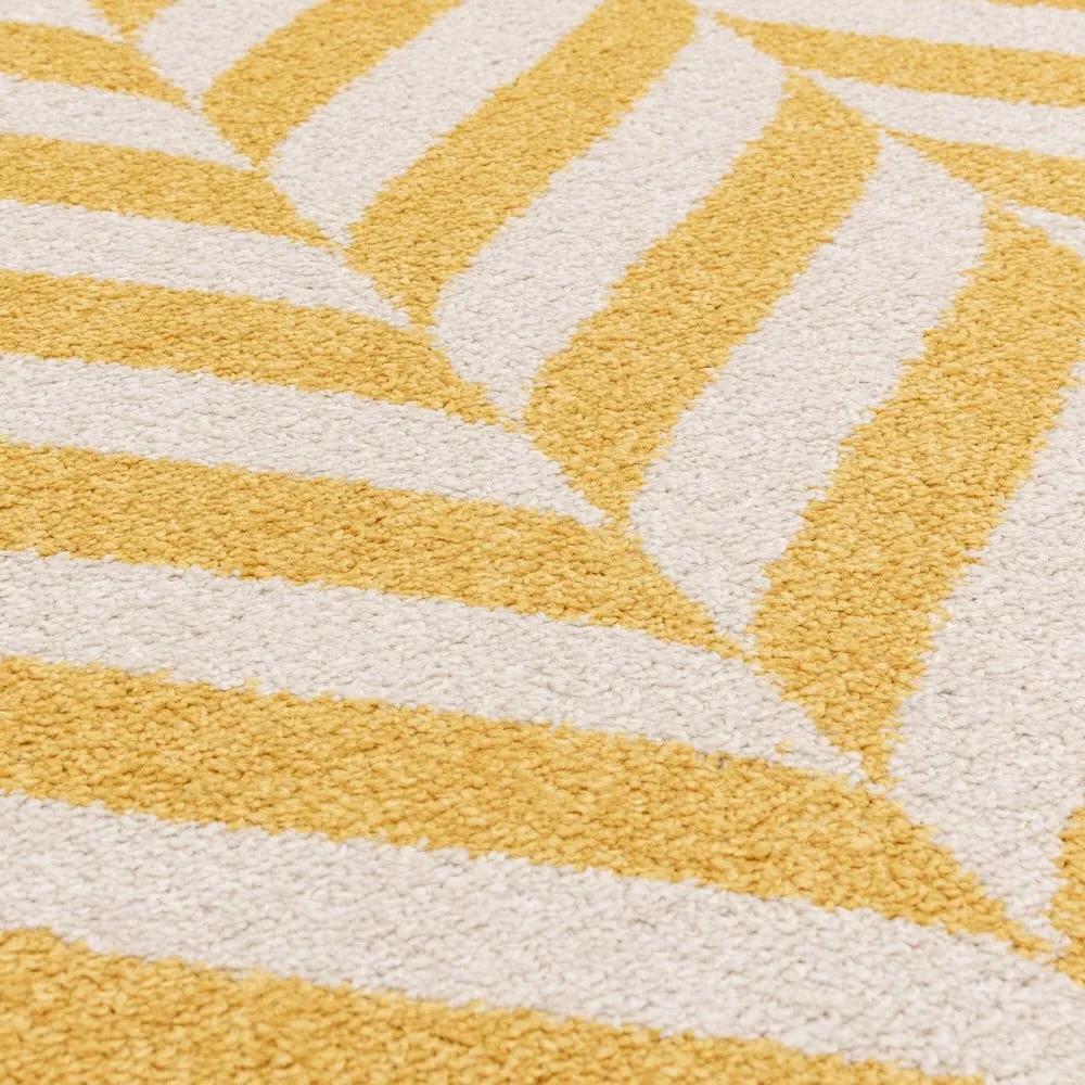 Жълт килим 290x200 cm Muse - Asiatic Carpets