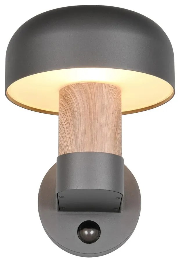 Стенно външно осветително тяло (височина 24,5 cm) Fraser – Trio