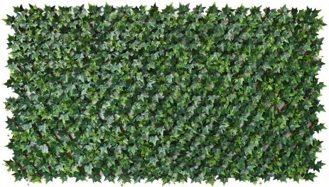 Декоративна ограда Хармоника - Hedra 1 х 2м