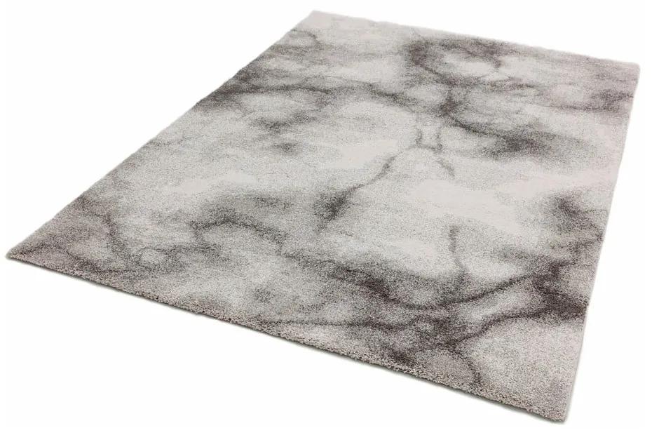 Сив килим 120x170 cm Dream – Asiatic Carpets