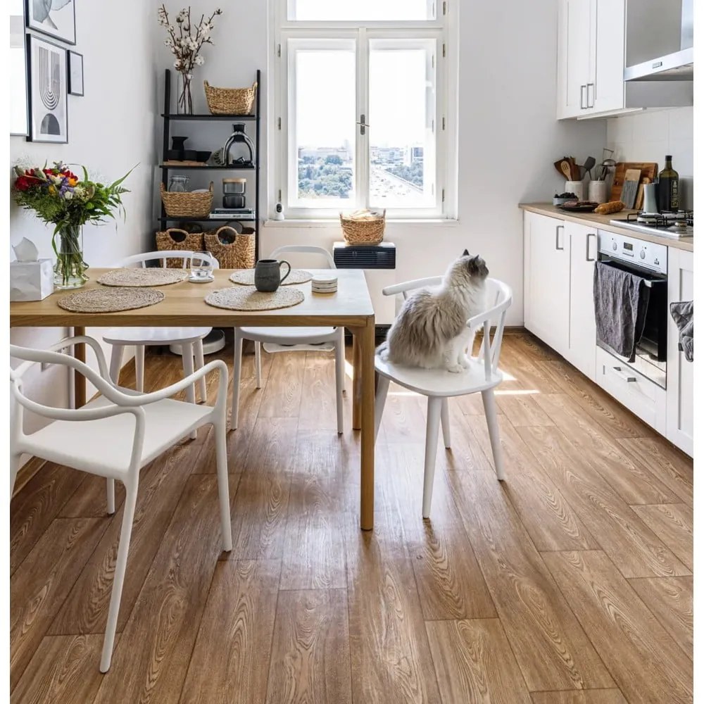 Комплект от 2 бели трапезни стола Chaur Dali - Bonami Selection