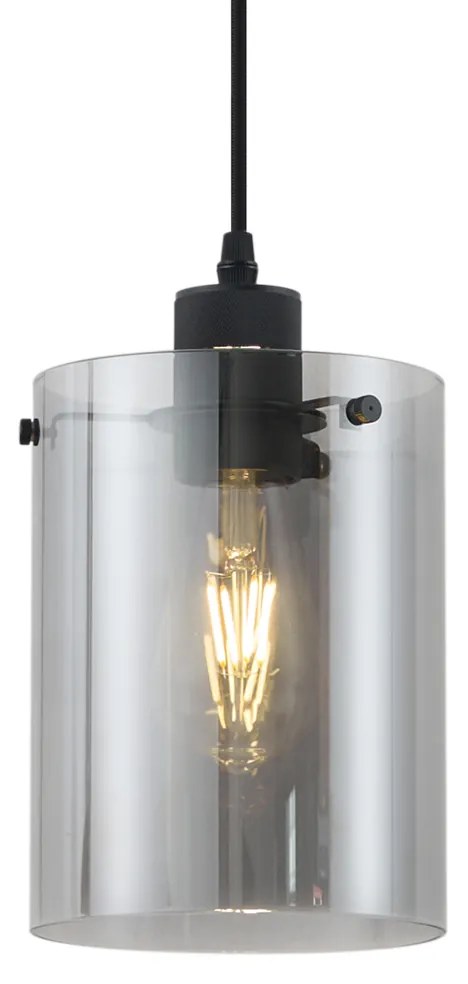 Модерен прожектор черен с димно стъкло за 1-фазна релсова система - Iconic Dome