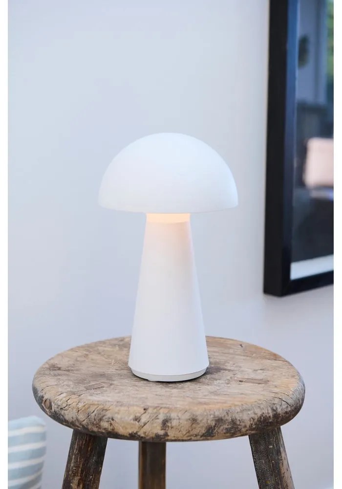 Декорация с бяла светлина Sam - Sirius