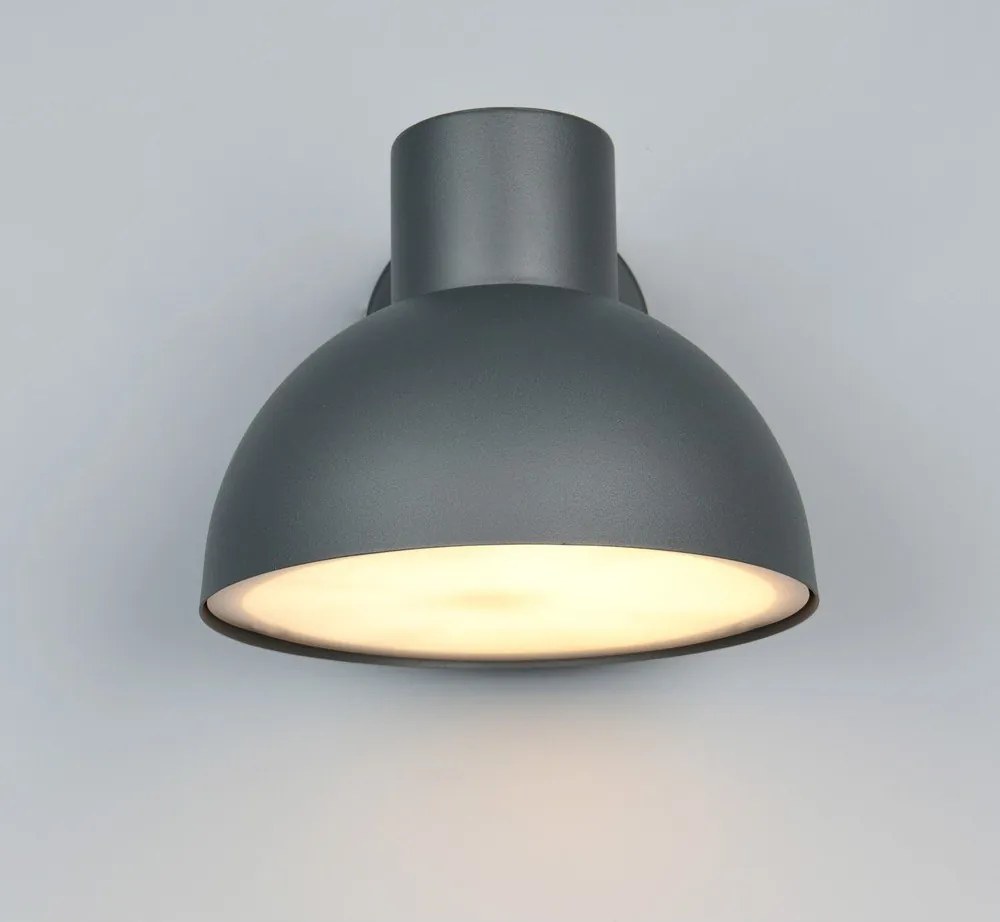 Стенно външно осветително тяло (височина 18,5 cm) Elbe – Trio