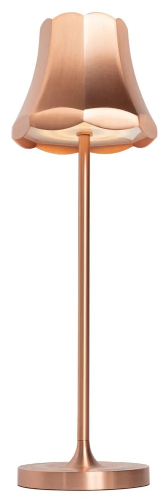 Комплект от 2 ретро настолни лампи мед акумулаторни IP44 - Granny