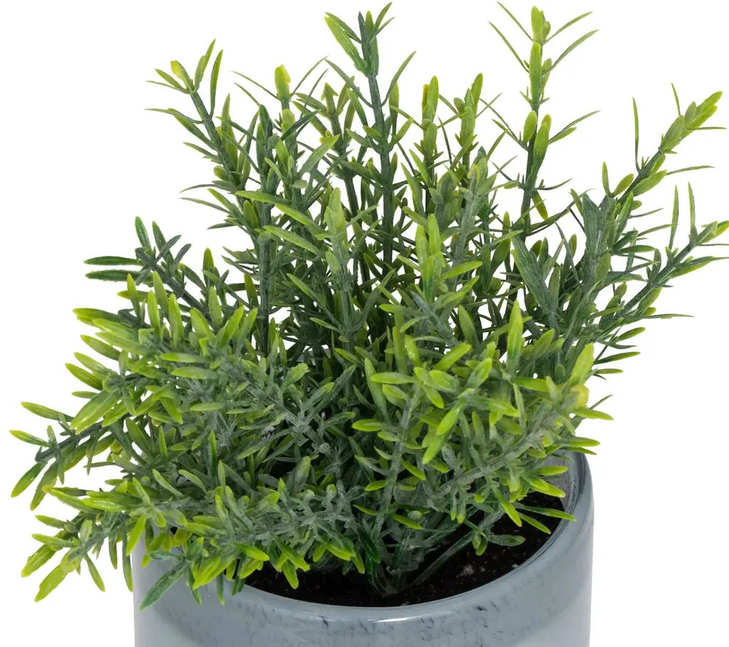Изкуствено растение atmosphera Tayli Succulent, 18 cm, Различни видове