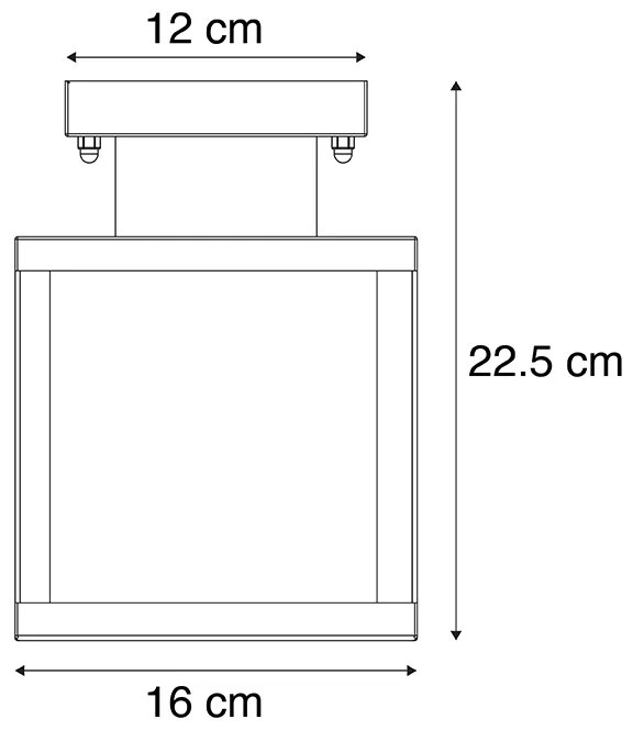 Индустриална смарт външна таванна лампа черна вкл. ST64 Wifi - Rotterdam