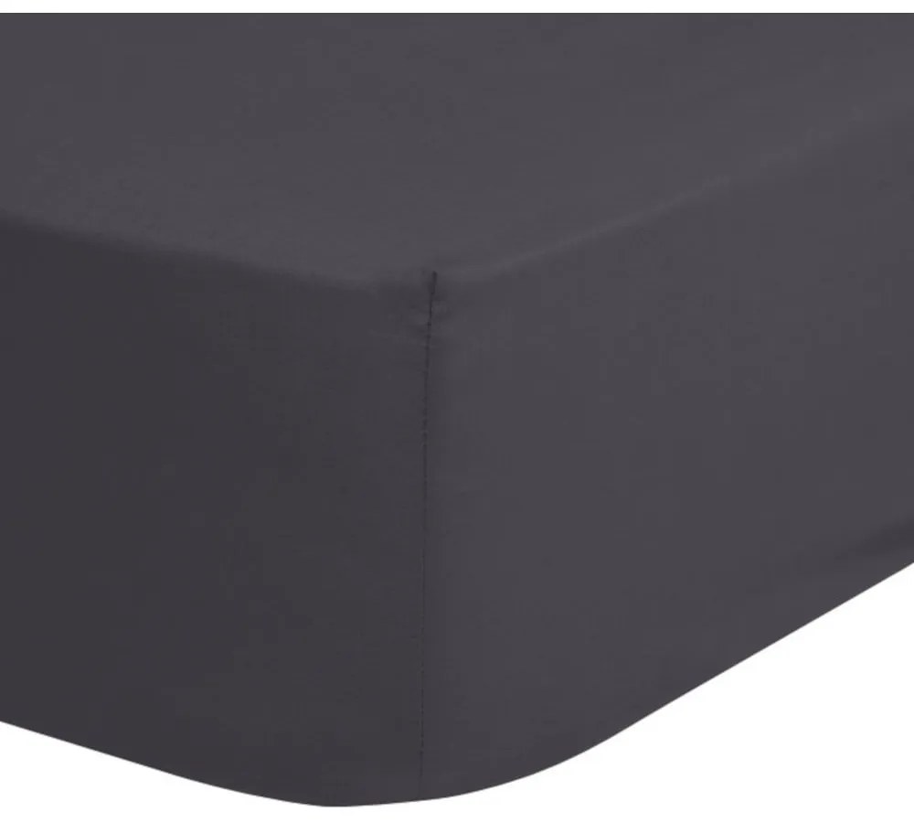 Тъмно сив памучен чаршаф с ластик , 180 x 200 cm - Good Morning