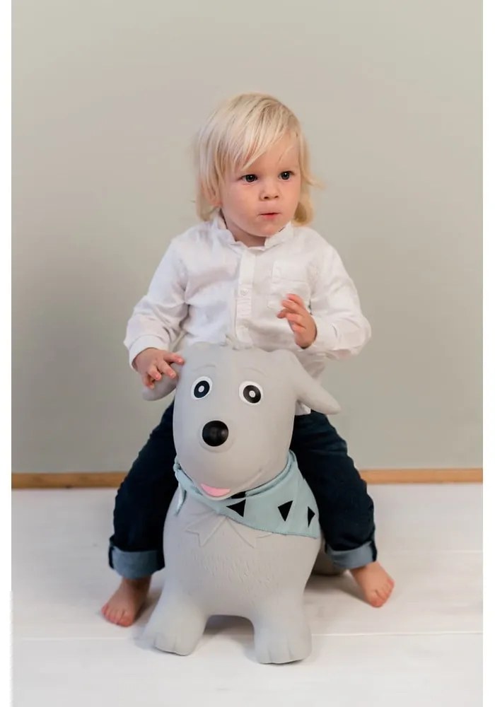 Играчка за скачане Dog – Kindsgut