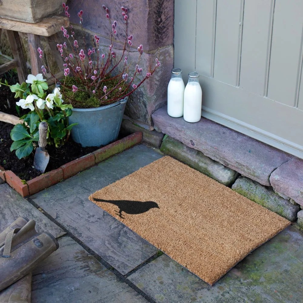 Изтривалка от кокосови влакна 40x60 cm Bird – Artsy Doormats