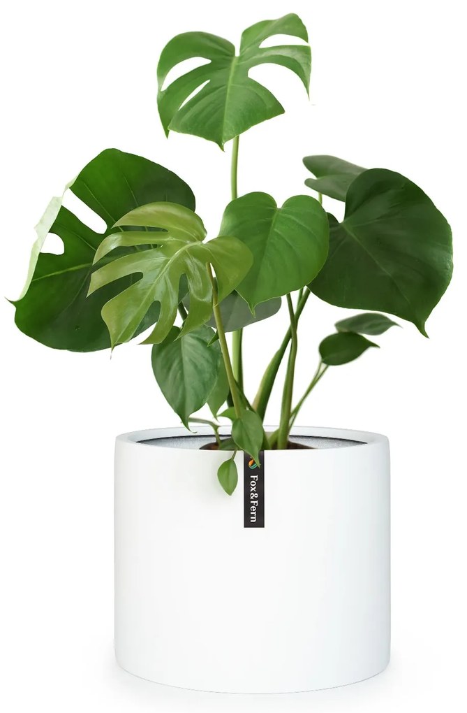 Fox & Fern Gendt, саксия, fiberstone, интериор / екстериор