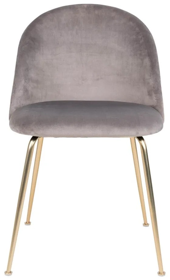 Светлосиви кадифени трапезни столове в комплект от 2 броя Geneve - House Nordic
