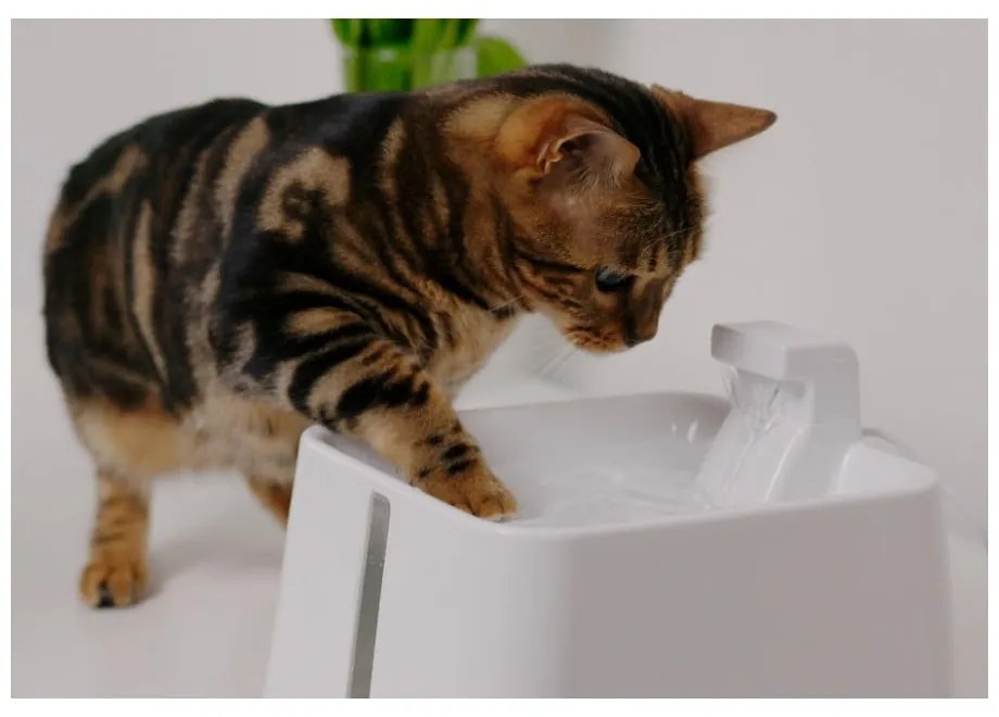 Фонтан за домашни любимци Epic Pet Zen - Plaček Pet Products