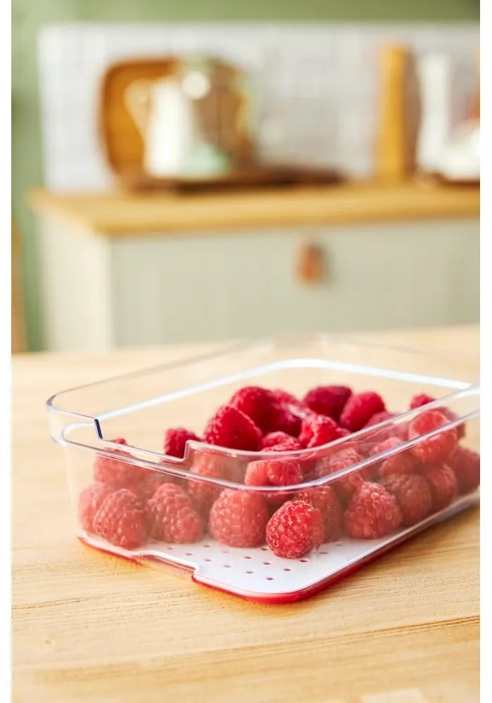 Пластмасов органайзер за хладилник Cauma – Rotho