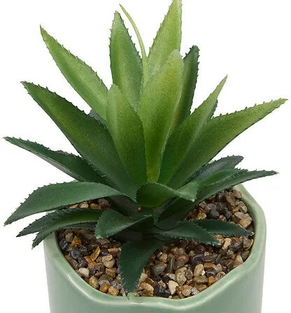 Изкуствено растение atmosphera Chéri, 17 cm, Различни видове