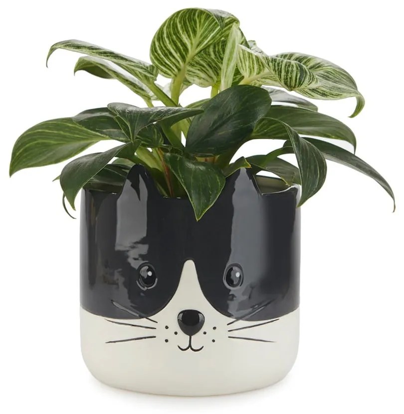Керамичен съд ø 13,5 cm Kitty - Balvi