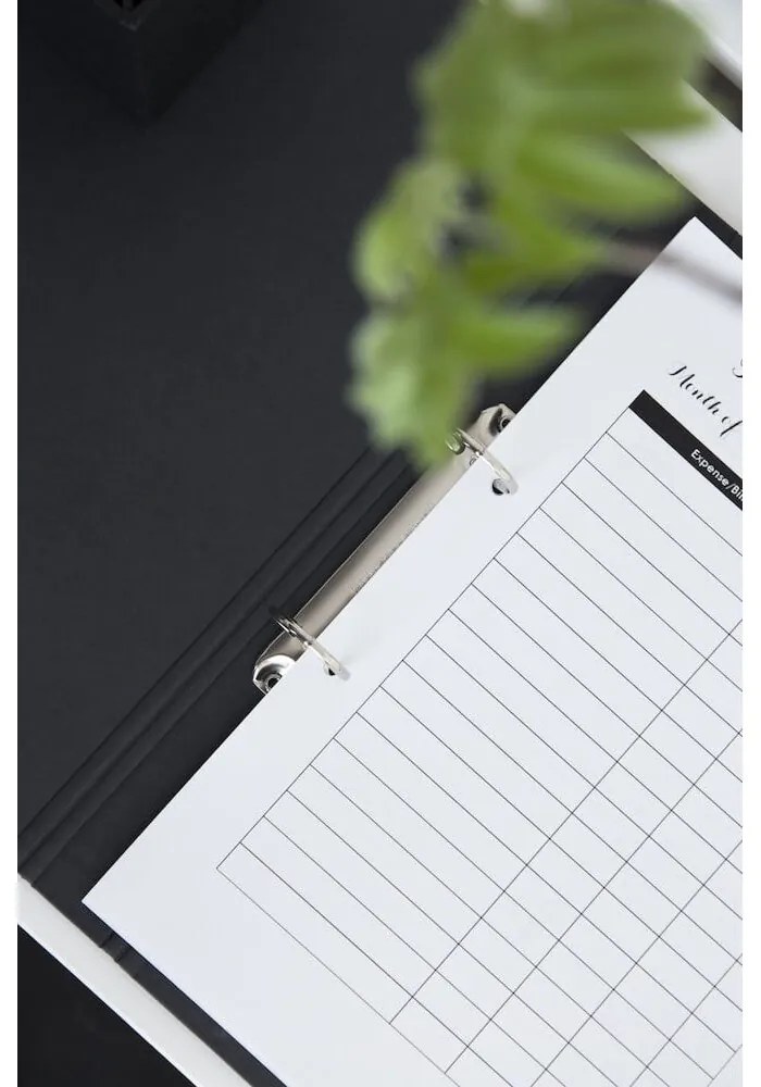 Картонен органайзер за документи Ringo - Bigso Box of Sweden