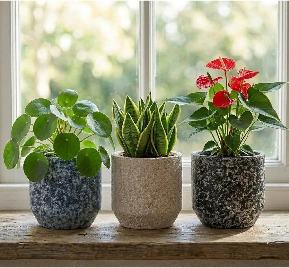 Керамично ръчно изработено покритие за кашпа ø 14 cm Almada – Ego Dekor