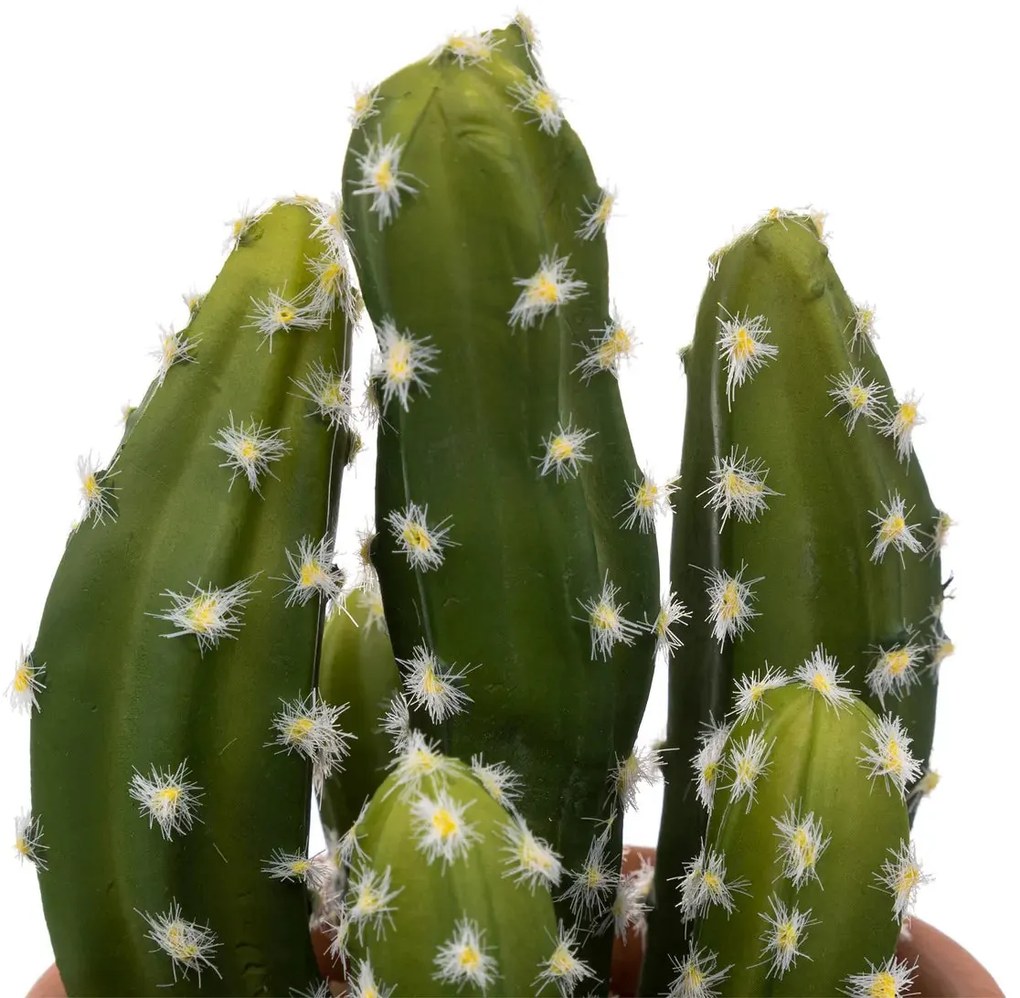 Изкуствено растение atmosphera Cactus Ali, 16.5 cm, Различни видове