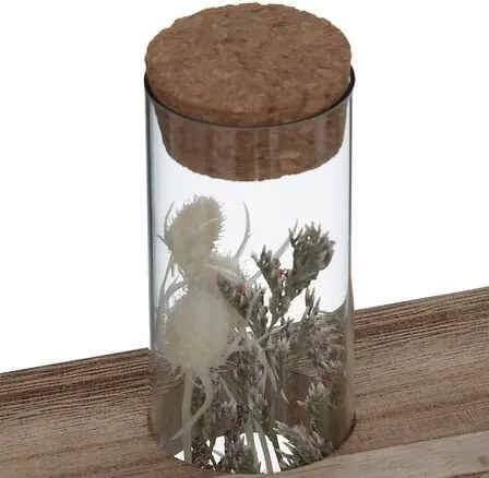 Декоративни цветя atmosphera House, 17 cm