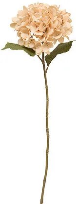 Декоративно стъбло хортензия atmosphera Fria, Асорти, 62 cm