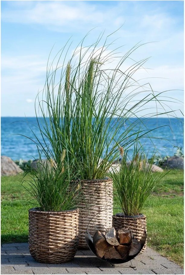 Комплект саксии 3 бр. от воден зюмбюл ø 49 cm Hanoi – House Nordic