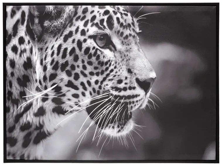 Картина atmosphera Leopard, 58x58 cm
