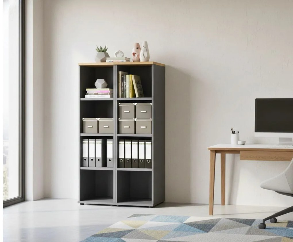 Библиотека Organizer II-Mauro - Fusiko