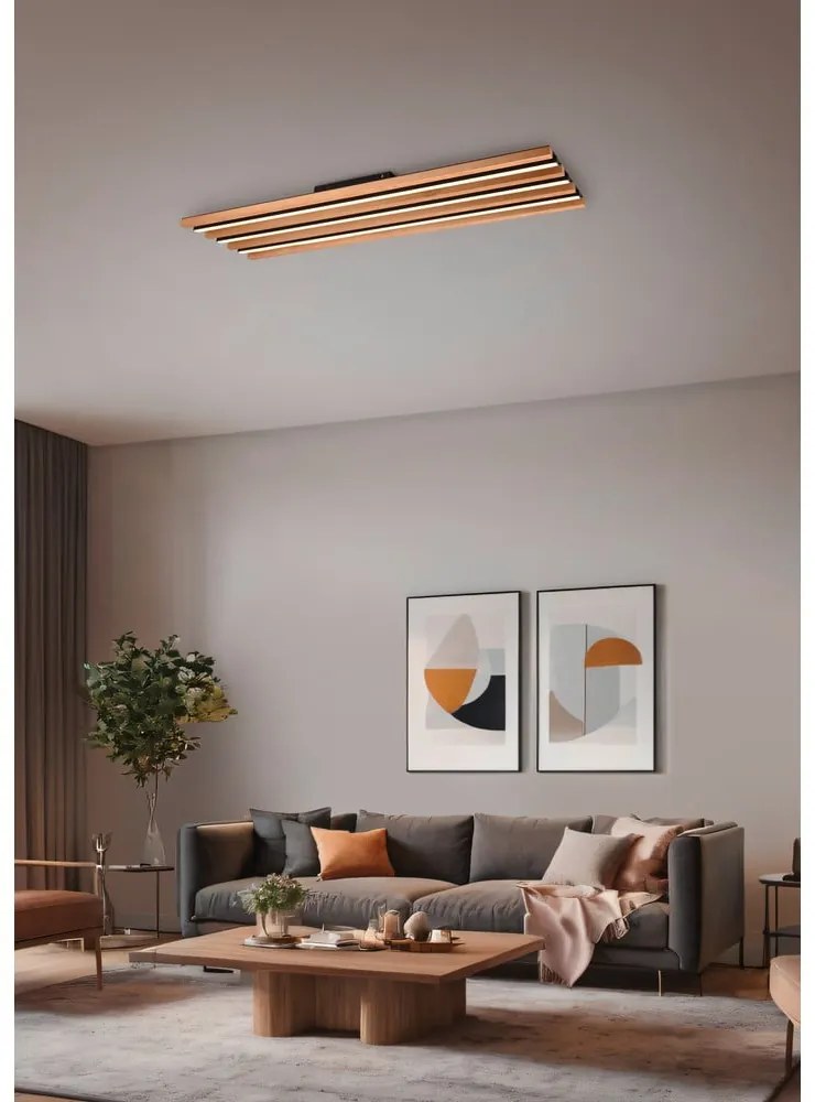 Черно и естествено LED затъмняващо се осветително тяло за таван 6x114 cm Fontana – Trio