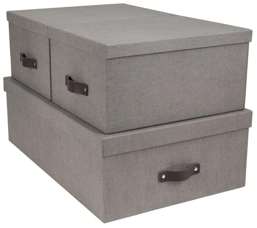 Кутии за съхранение с капак в комплект от 3 Inge - Bigso Box of Sweden