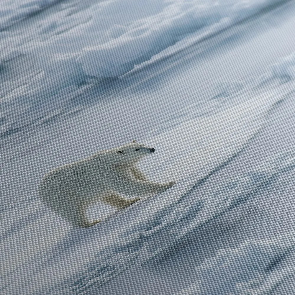 Картина на платно – Зимно царство на ледени площи