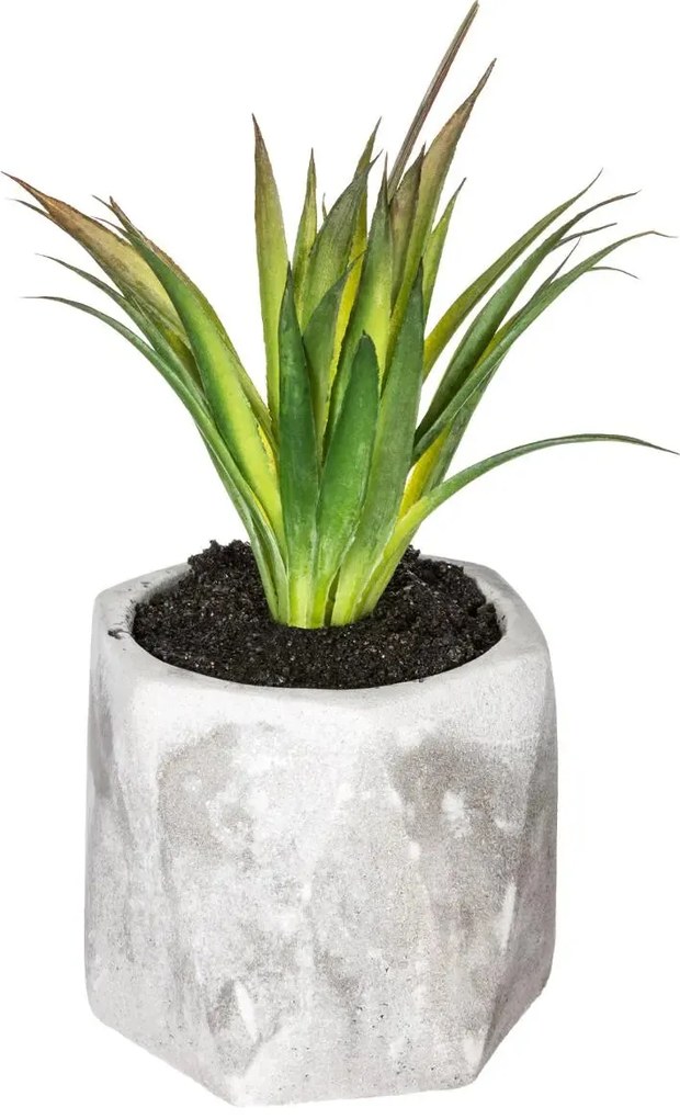 Изкуствено растение atmosphera Succulent, 14 cm, Различни видове