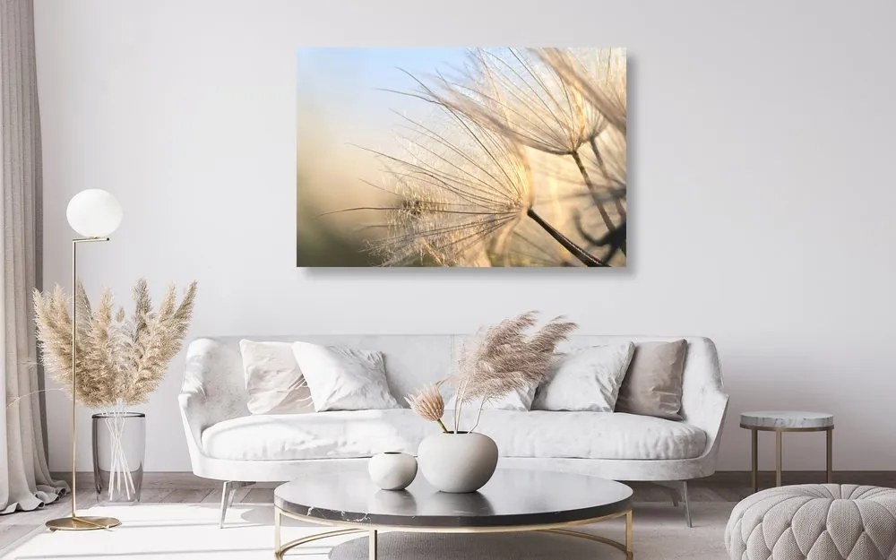 Картина на платно – Глухарче на поле при изгрев