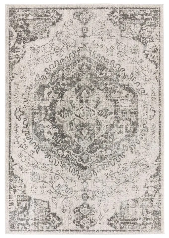 Сиво-кремав килим 160x230 cm Nova – Asiatic Carpets