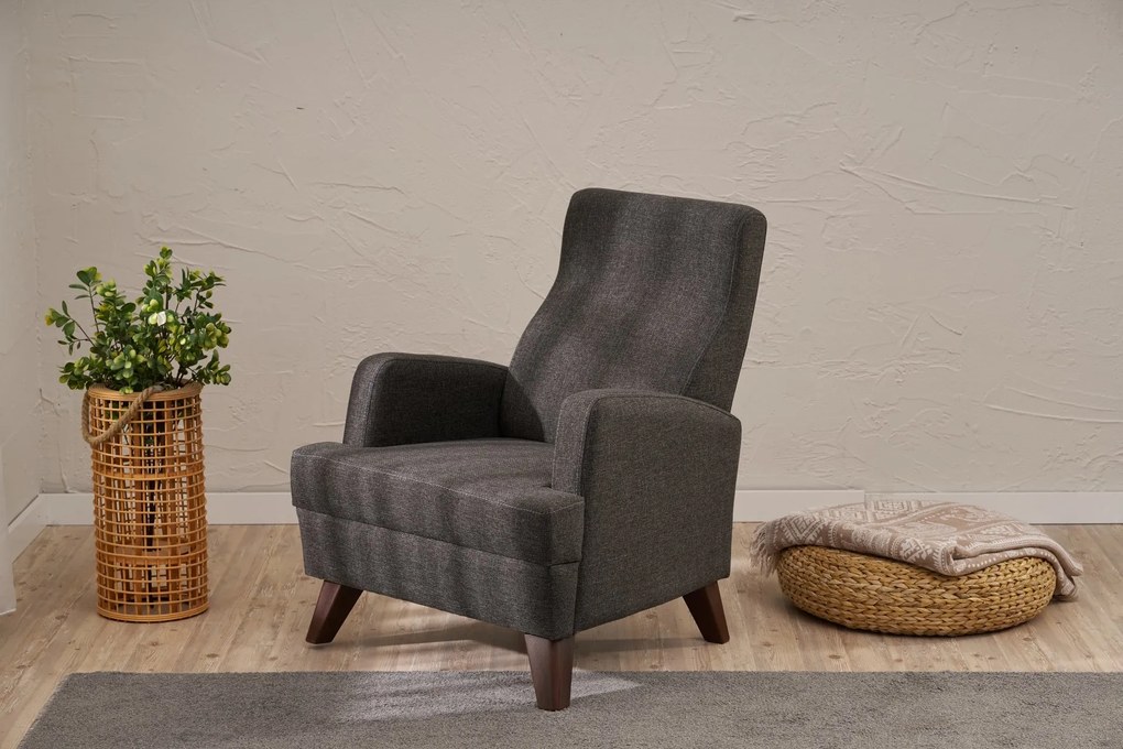 Едноместен диван Aly, цвят Антрацит