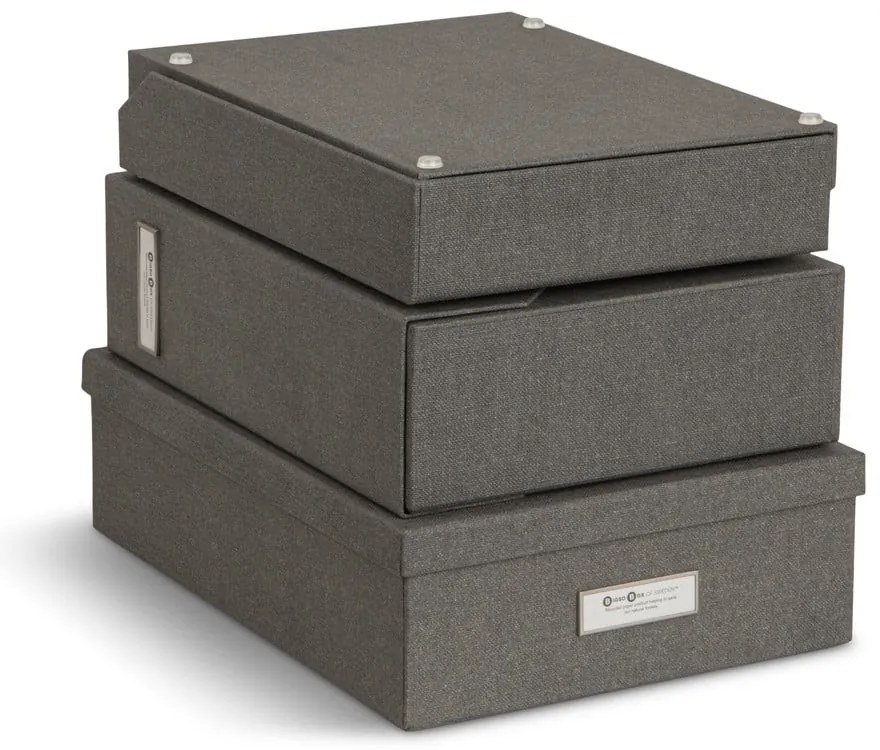 Картонени органайзери за докумнети в комплект от 5 бр. Holger – Bigso Box of Sweden