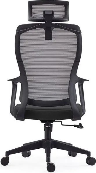 Изпълнителен стол CG3850-Gkri
